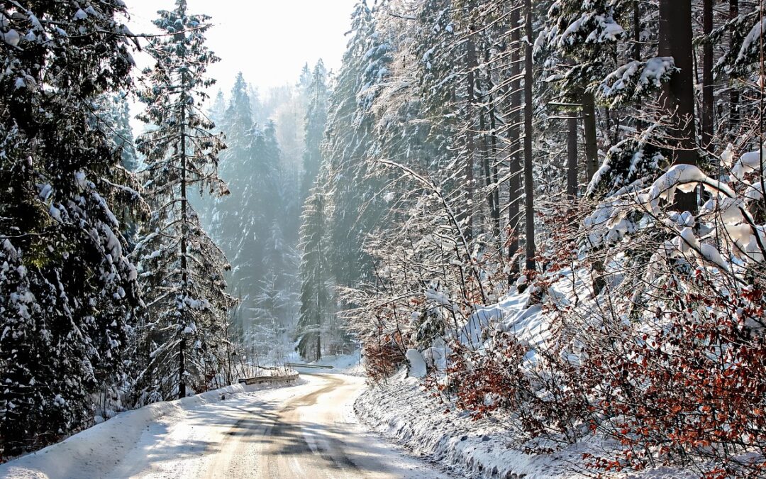 Powdercat Tours » Escape To Winter Wonderland: Steamboat Springs Adventures…