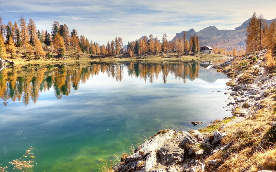 Snowcat Rides To Alpine Vistas – Escape To Serenity: Snowcat…