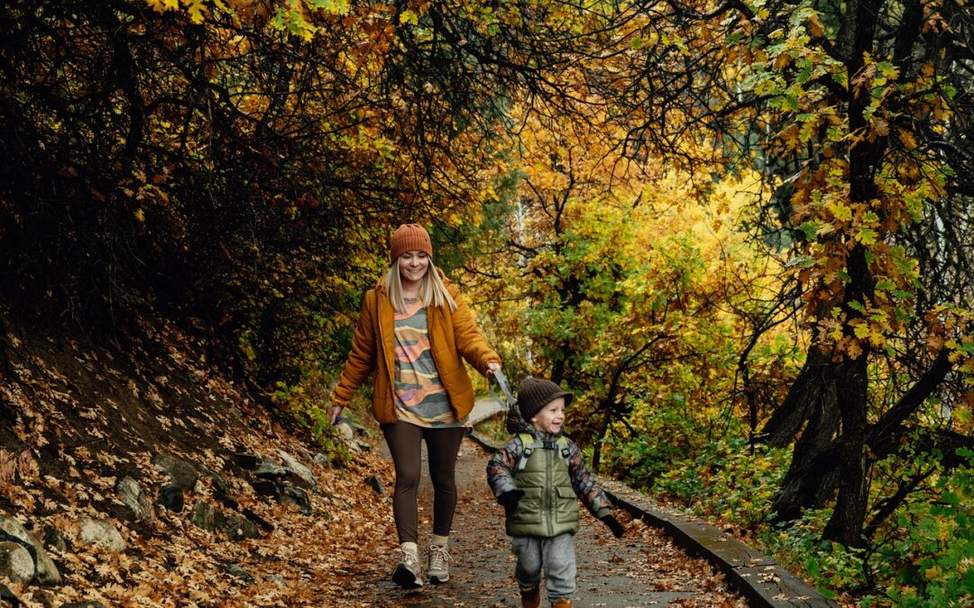 Mount Zirkel Wilderness Area: Offers Hiking, Fishing, And Whitewater Rafting…