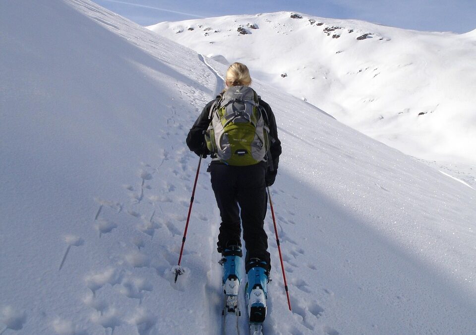 Best Snowcat Skiing Destinations / Ready To Shred The Powder?…