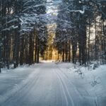 snowcat-skiing-safety-tips_and_Overview-of-Snowcat-Tours:-What-to-Expect
