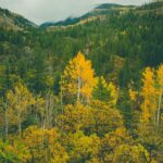 Howelsen-Hill-Ski-Area:-A-historic-ski-area-with-activities-for-all-ages,-including-skiing,-snowboarding,-and-tubing._and_Summer-Activities-in-Steamboat-Springs