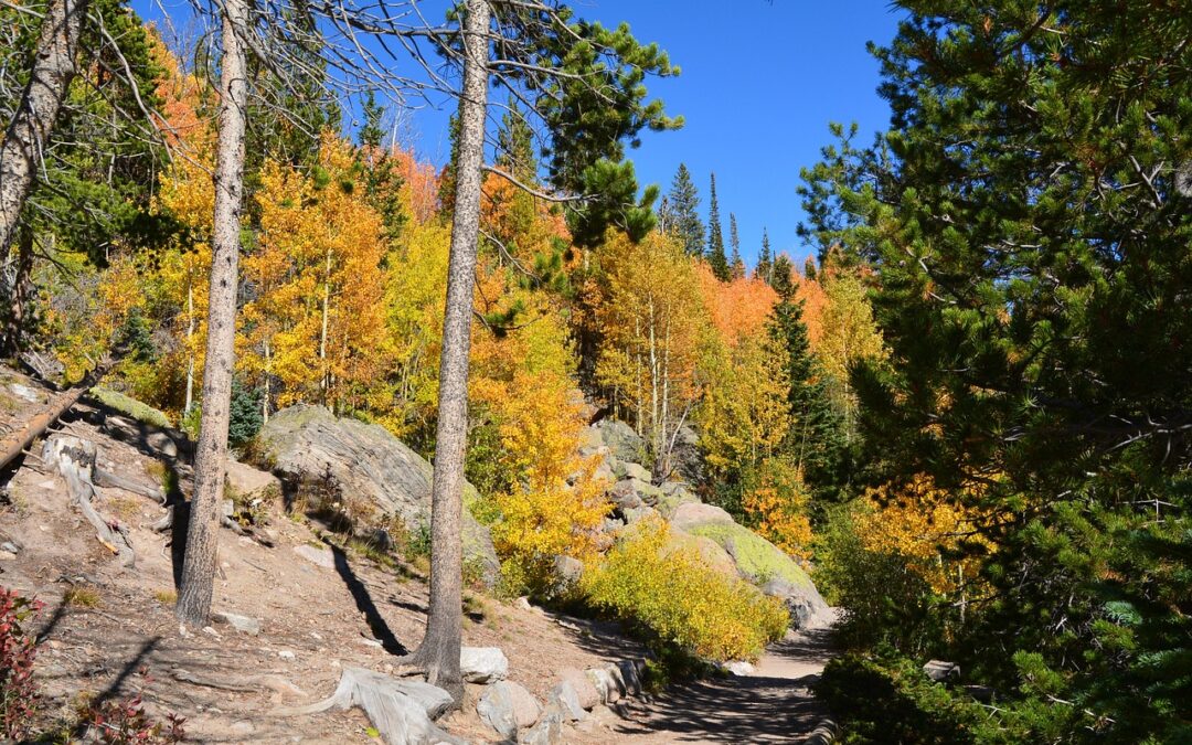 Scenic Snowcat Tours Colorado: Get Ready For An Epic Adventure:…