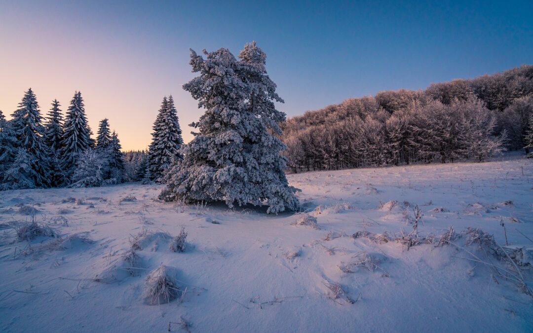 Snowcat Tours For Winter Mountain Sightseeing / Winter Wonderland Adventures:…