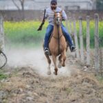 Old-Town-Hot-Springs:-A-family-friendly-hot-springs-facility-with-pools,-water-slides,-and-a-fitness-center._and_Horseback-Riding-Adventures