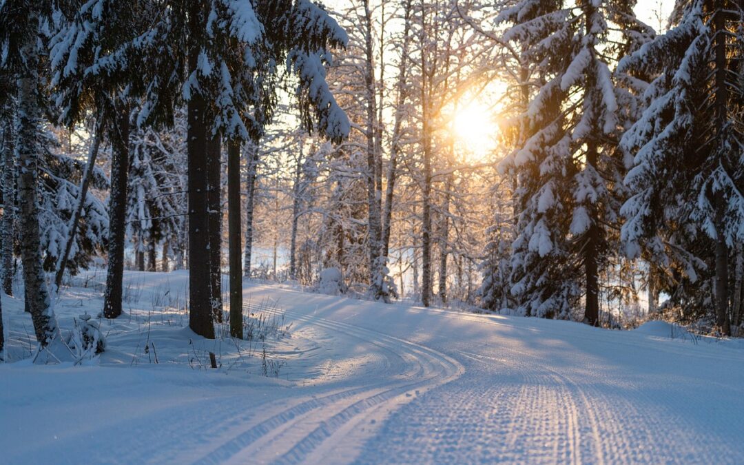 Snowcat Skiing For Beginners | “`html Unlock Your Ultimate Winter…