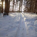 snowcat-skiing-near-me_and_Powdercat-Adventure-Tours