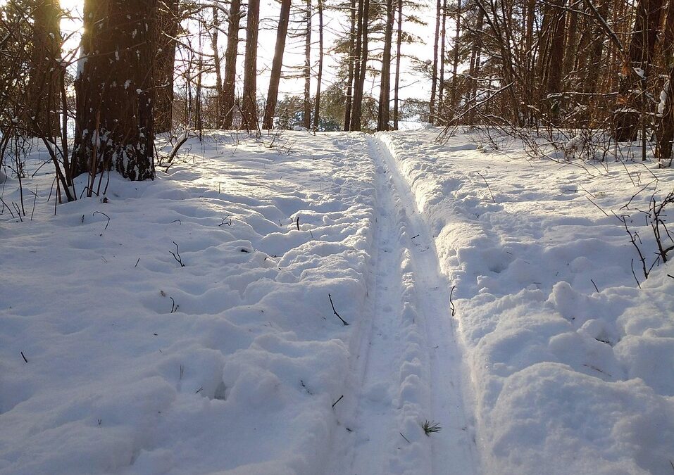 Snowcat Skiing Near Me | Escape To The Powder: Your…