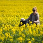 snowcat-tours-for-beginners_and_Outdoor-Activities